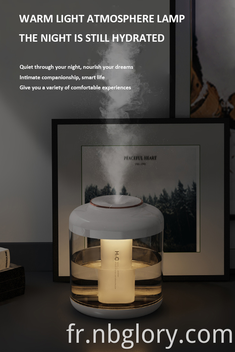 humidifier diffuser